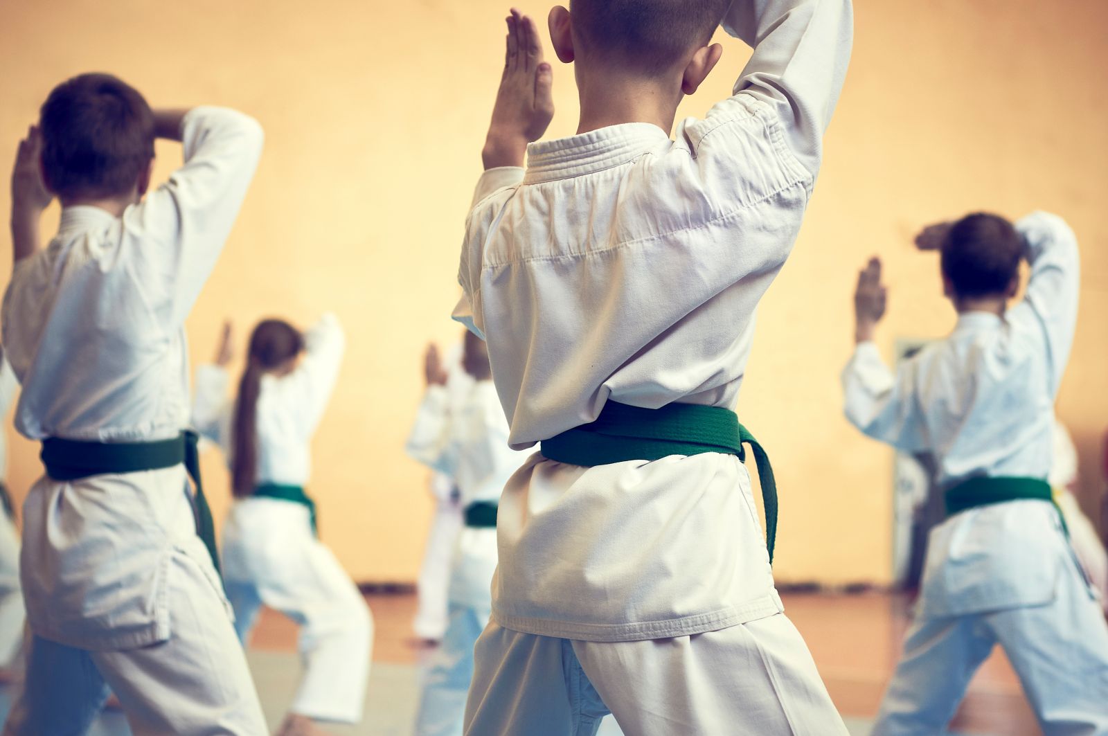 Unlocking Confidence in Children: Karate Classes for Kids Image