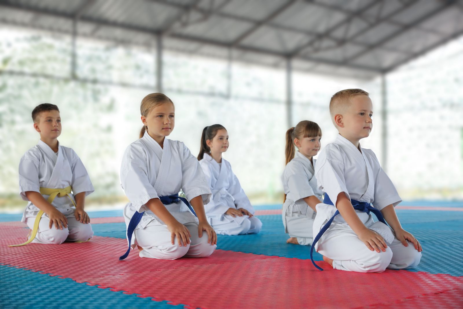 Discovering Discipline Through Karate: The Benefits for Kids Image